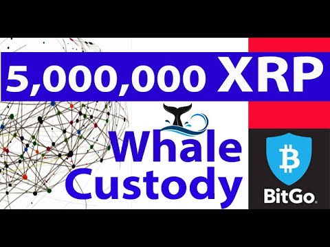 XRP WHALES take custody Japan, Ethereum Co-Founder Joseph Lubin DROVE THE LEGAL WORK, Ripple SEC