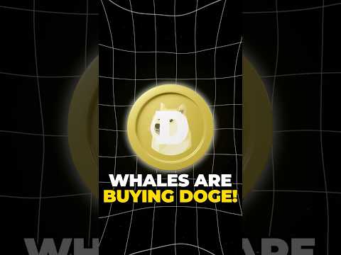 Dogecoin whales are BUYING like crazy, is a BREAKOUT coming? 🤯🚀 #crypto #dogecoin #doge