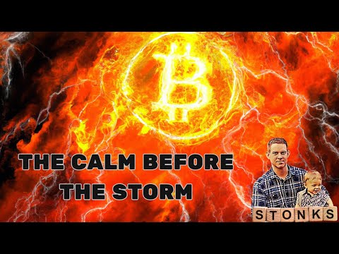 The Calm Before The Storm - Bitcoin 2024