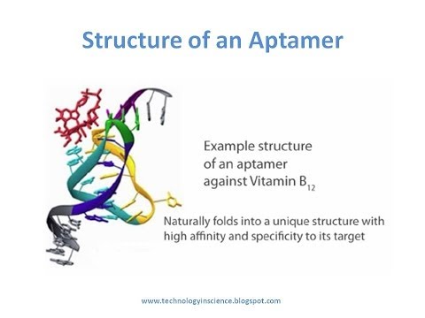 Aptamers - A new class of Oligonucleotides for Therapeutic and Diagnostic Use