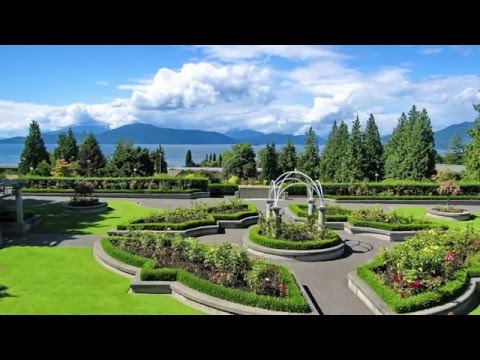 Stewart Blusson Quantum Matter Institute, University of British Columbia