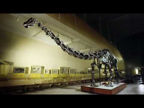 Uncovering the Secrets of Prehistoric Giants | Dinosaur!