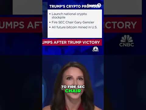 Bitcoin Soars: Trump’s Promises Ignite Crypto Market Surge