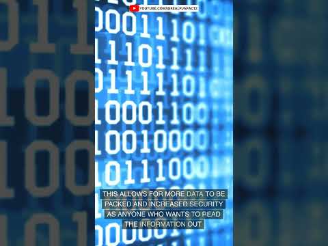 Revolutionizing Data Storage with Twisted Light Holograms: The Future of Quantum Encryption