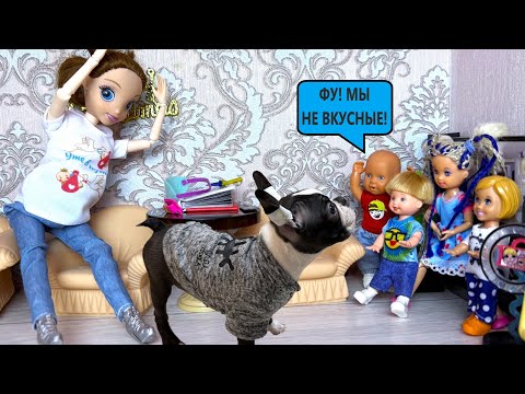 У НАС ЗАВЁЛСЯ СТРАШНЫЙ ЗВЕРЬ😱🐾 Катя и Макс веселая семейка! Куклы Барби и ЛОЛ истории ДАРИНЕЛКА ТВ