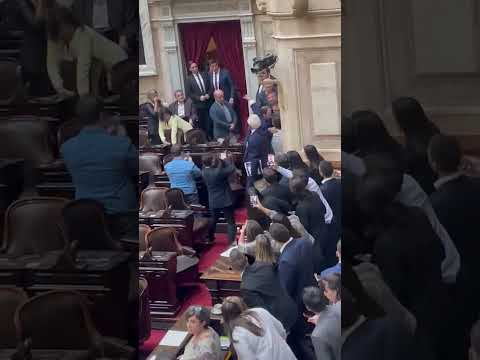 Brawl breaks out in Argentina&#039;s parliament during crypto scandal debate
