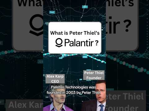 What the heck is Palantir? Peter Thiel and Alex Karp&#039;s monster enterprise #palantir #founder #viral