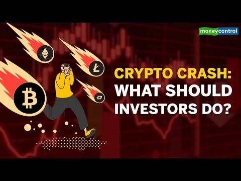 Why Cryptocurrencies Are Falling From Their Peak; Should Investors Book Profit Or Buy The Dip?