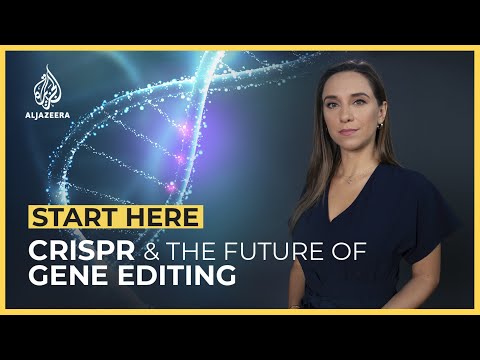 CRISPR: What is the future of gene editing? | Start Here