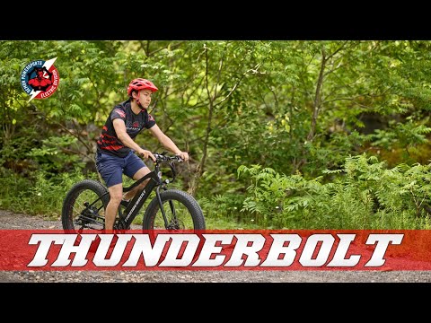 Demon Electric&#039;s Thunderbolt | #electricbikes made in Toronto Canada #ebike #fattire #mtb